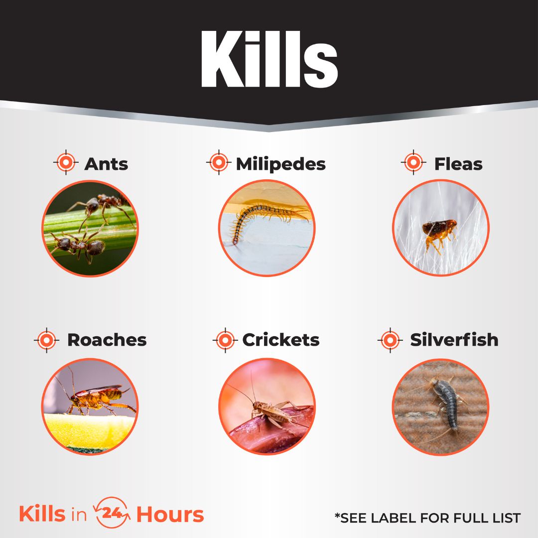 Revenge Ant Killer Granules – Bonide – 4 lb